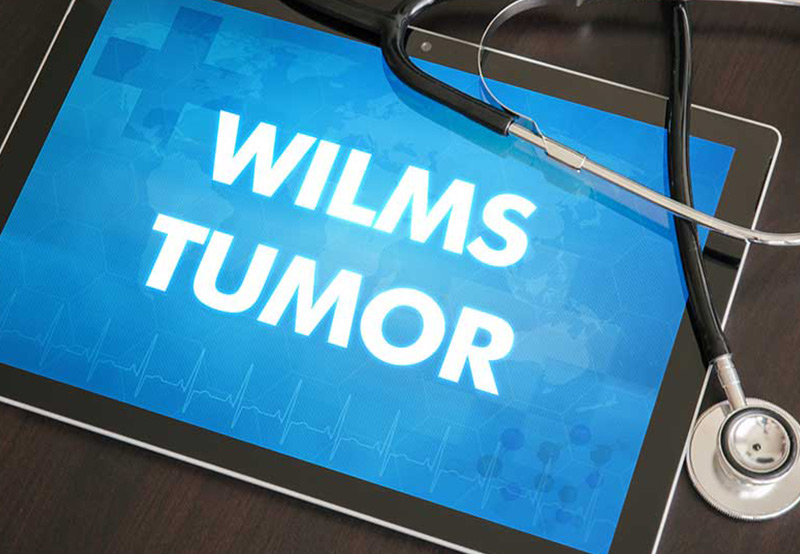 Wilms-tumor-a-genitourinary-tumor-Dr.-Antoine-Khoury